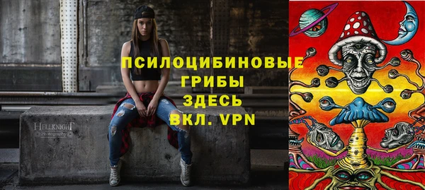 стаф Вязники