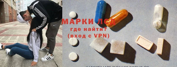 шишки Сосновый Бор