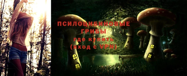 ALPHA-PVP Горнозаводск