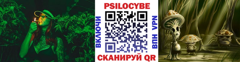 Купить закладки Новоульяновск Псилоцибиновые грибы GOLDEN TEACHER