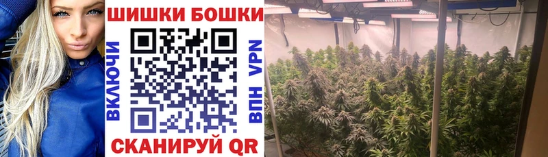 Шишки марихуана планчик  Купить где  Новоульяновск 